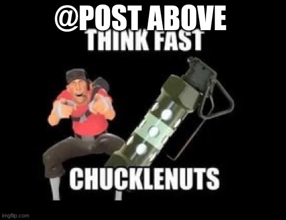 THINK FAST CHUCKLENUTS | @POST ABOVE | image tagged in think fast chucklenuts | made w/ Imgflip meme maker