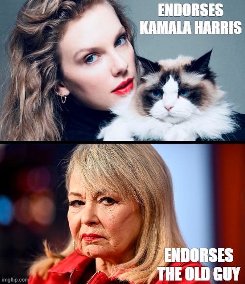 Celebrity endorsements say a lot about the candidate! | ENDORSES KAMALA HARRIS; ENDORSES THE OLD GUY | image tagged in taylor swift,kamala harris,rosanne barr,donald trump,endorsement,election 2024 | made w/ Imgflip meme maker