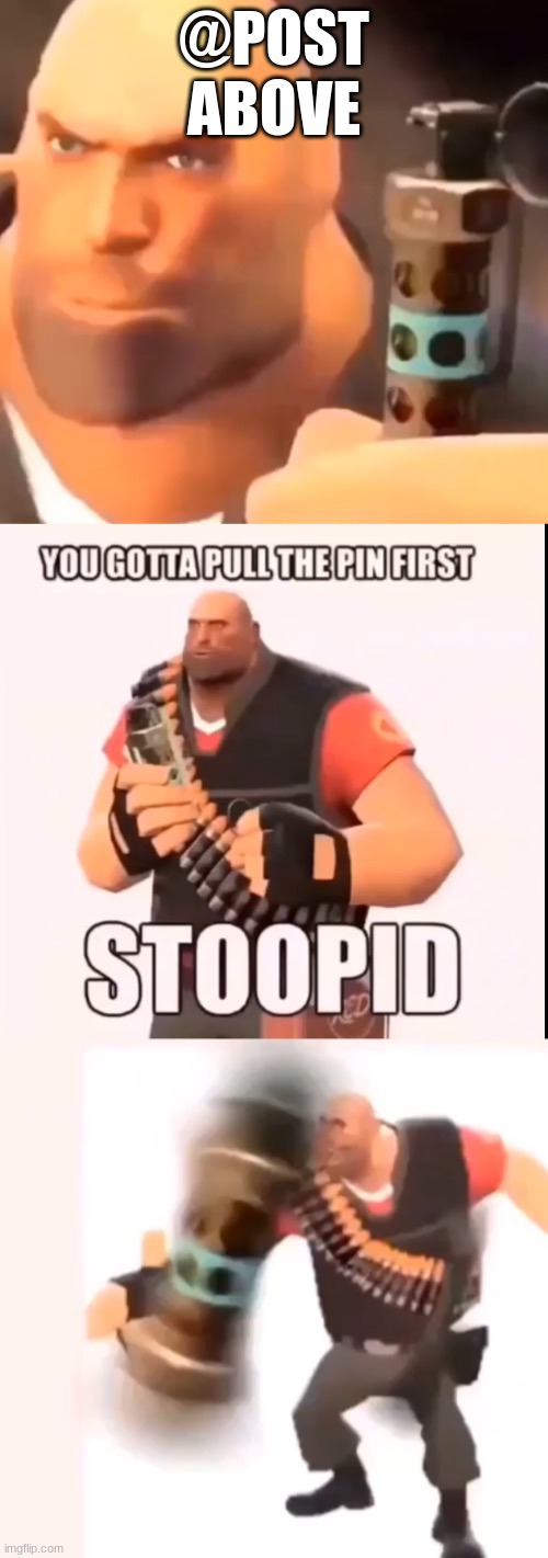 You gotta pull the pin first, stoopid | @POST ABOVE | image tagged in you gotta pull the pin first stoopid | made w/ Imgflip meme maker