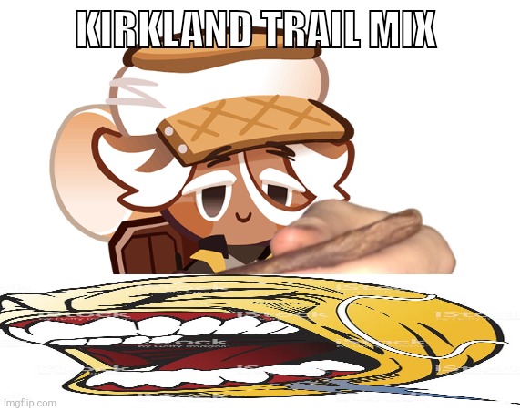 smore cookie with a blunt | KIRKLAND TRAIL MIX | image tagged in smore cookie with a blunt | made w/ Imgflip meme maker