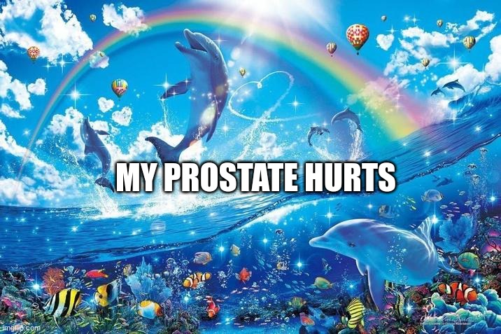 :/ | MY PROSTATE HURTS | image tagged in happy dolphin rainbow | made w/ Imgflip meme maker