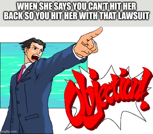 Phoenix Wright Objection | WHEN SHE SAYS YOU CAN'T HIT HER BACK SO YOU HIT HER WITH THAT LAWSUIT | image tagged in phoenix wright objection | made w/ Imgflip meme maker