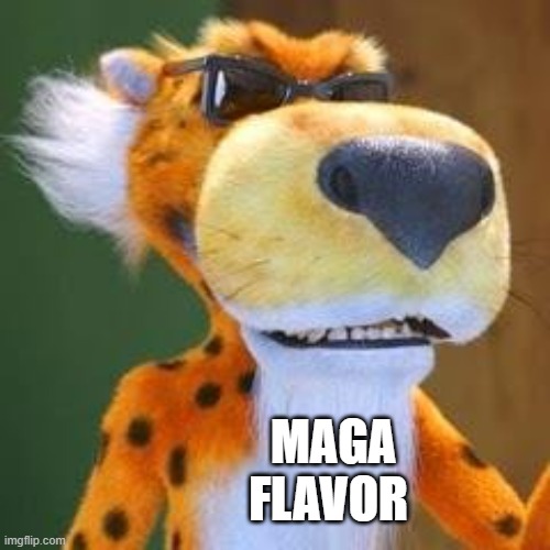 Chester Cheeto | MAGA
FLAVOR | image tagged in chester cheeto | made w/ Imgflip meme maker