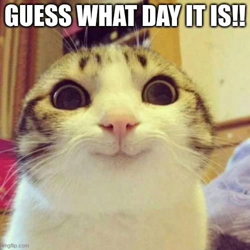 hehe | GUESS WHAT DAY IT IS!! | image tagged in memes,smiling cat | made w/ Imgflip meme maker