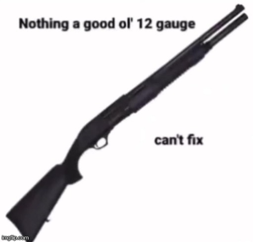 post above get a 12 gauge | image tagged in nothing a good ol 12 gauge cant fix | made w/ Imgflip meme maker