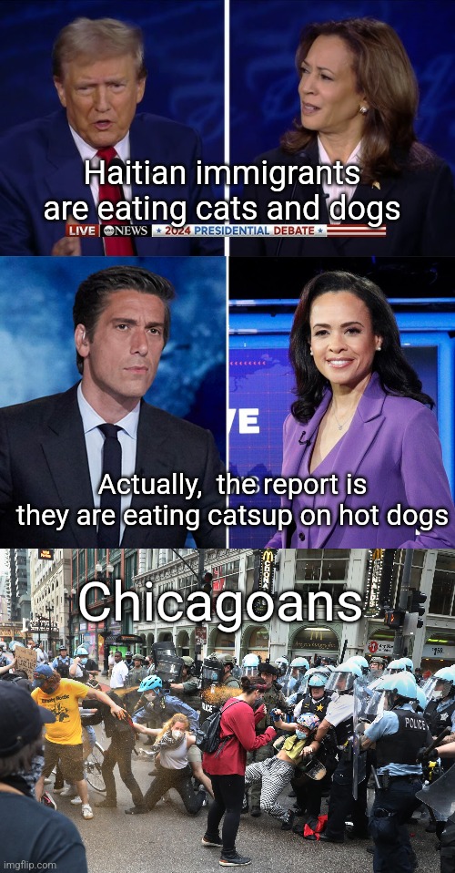 Fact Checking | Haitian immigrants are eating cats and dogs; Actually,  the report is they are eating catsup on hot dogs; Chicagoans | image tagged in donald trump,debate,haiti | made w/ Imgflip meme maker