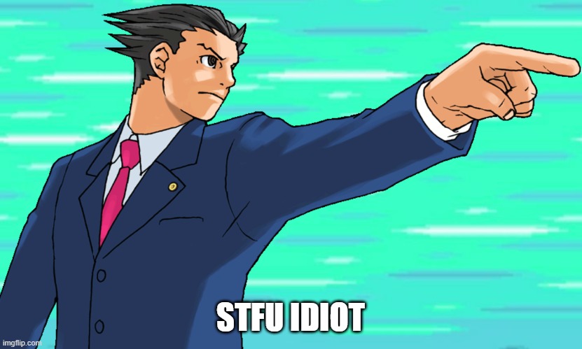 new template | STFU IDIOT | image tagged in phoenix wright stfu | made w/ Imgflip meme maker