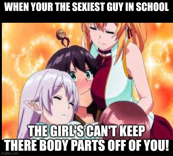 girls | WHEN YOUR THE SEXIEST GUY IN SCHOOL; THE GIRL'S CAN'T KEEP THERE BODY PARTS OFF OF YOU! | image tagged in anime | made w/ Imgflip meme maker