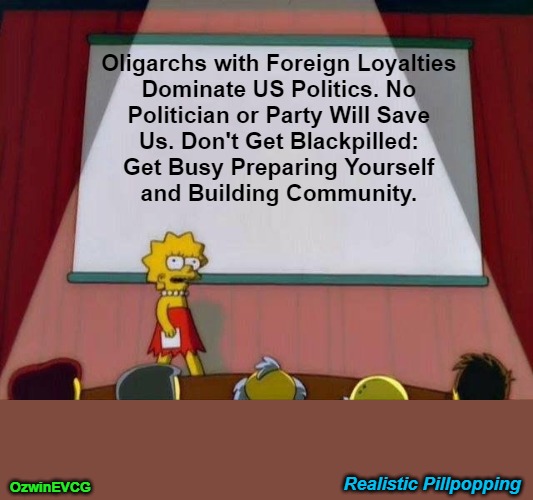 RP NV | Oligarchs with Foreign Loyalties 

Dominate US Politics. No 

Politician or Party Will Save 

Us. Don't Get Blackpilled: 

Get Busy Preparing Yourself 

and Building Community. Realistic Pillpopping; OzwinEVCG | image tagged in lisa simpson's presentation,democratic party,republican party,rigged elections,uniparty animals,be prepared | made w/ Imgflip meme maker