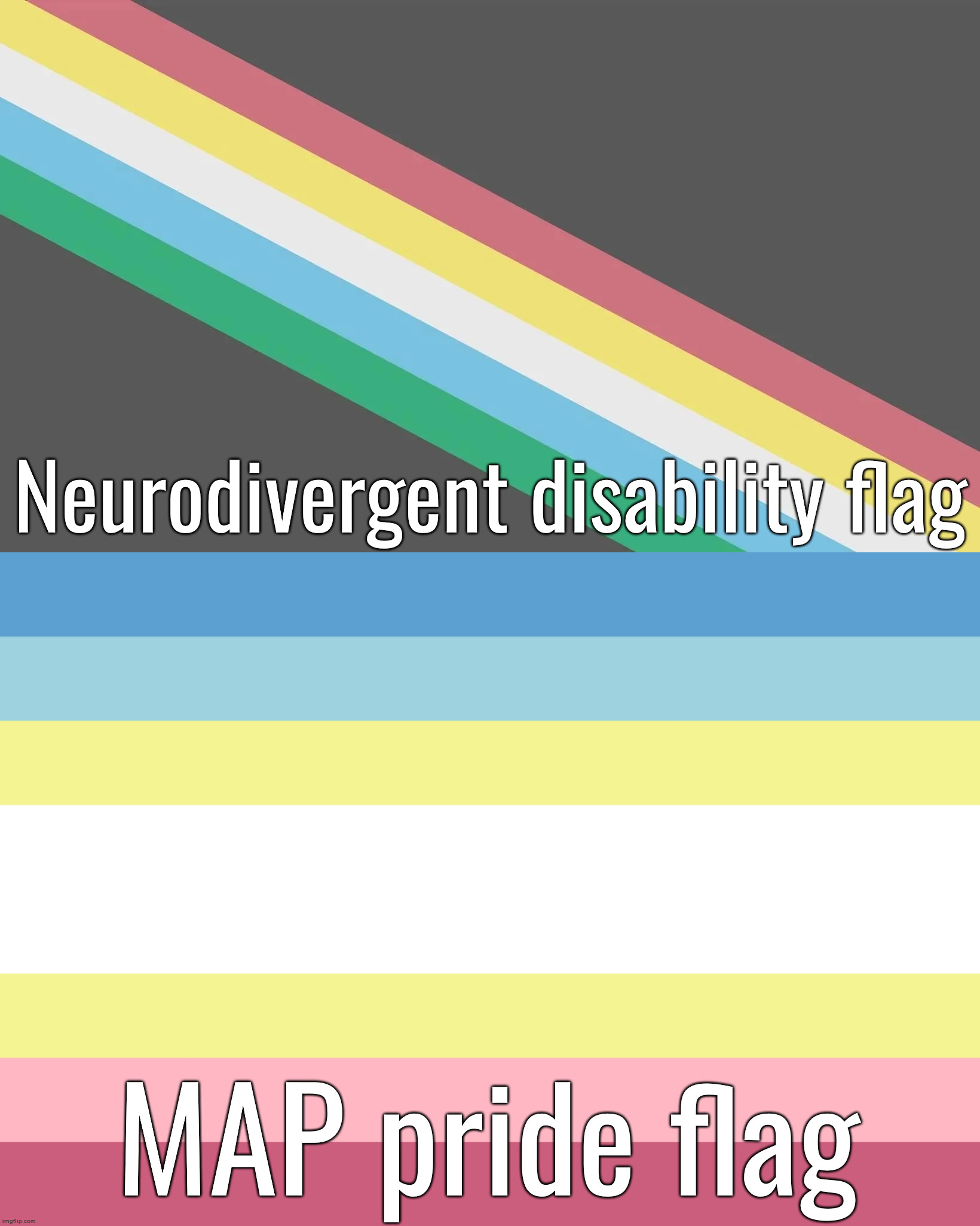 WHY DO THEY SHARE A COLOR SCHEME?! | Neurodivergent disability flag; MAP pride flag | image tagged in map pride flag | made w/ Imgflip meme maker