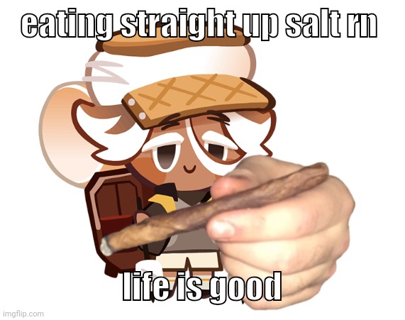 smore cookie with a blunt | eating straight up salt rn; life is good | image tagged in smore cookie with a blunt | made w/ Imgflip meme maker