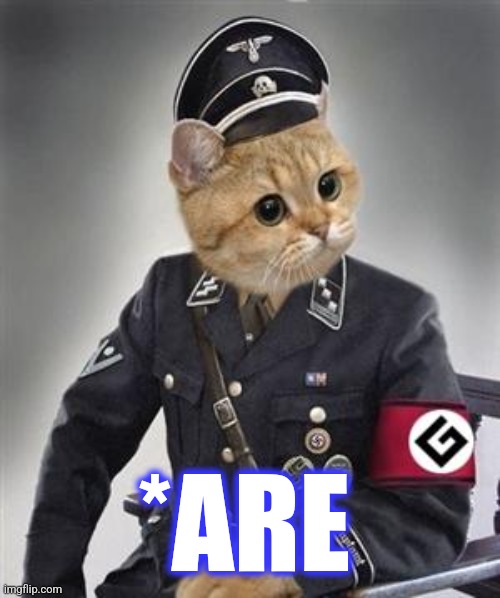 Grammar Nazi Cat | *ARE | image tagged in grammar nazi cat | made w/ Imgflip meme maker