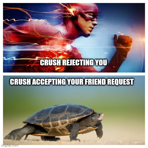 Flash turtle | CRUSH REJECTING YOU; CRUSH ACCEPTING YOUR FRIEND REQUEST | image tagged in flash turtle | made w/ Imgflip meme maker