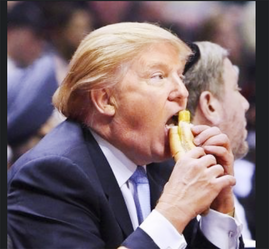 Trump eats dogs Blank Meme Template