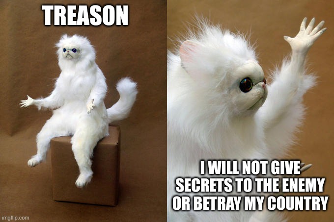 treason | TREASON; I WILL NOT GIVE SECRETS TO THE ENEMY OR BETRAY MY COUNTRY | image tagged in memes,persian cat room guardian | made w/ Imgflip meme maker