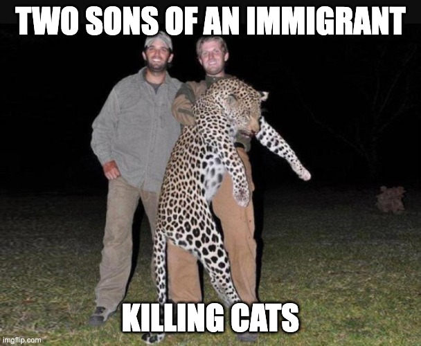 immigrant's sons killing cat | TWO SONS OF AN IMMIGRANT; KILLING CATS | image tagged in immigrant's sons killing cat | made w/ Imgflip meme maker