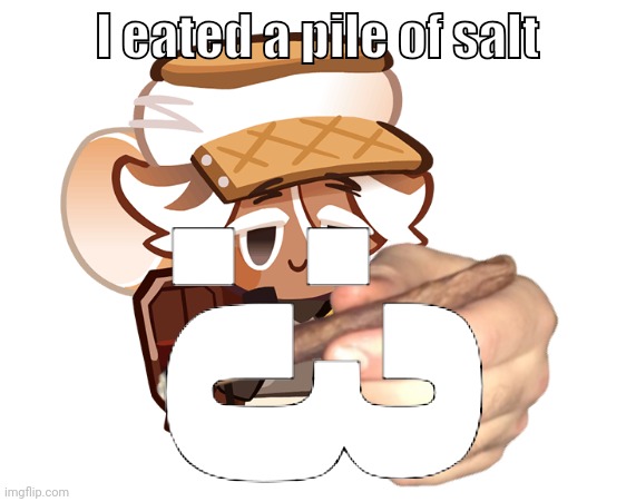 smore cookie with a blunt | I eated a pile of salt; :3 | image tagged in smore cookie with a blunt | made w/ Imgflip meme maker