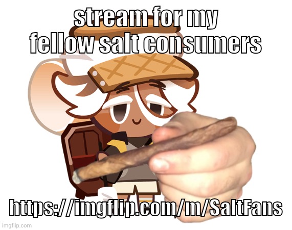 smore cookie with a blunt | stream for my fellow salt consumers; https://imgflip.com/m/SaltFans | image tagged in smore cookie with a blunt | made w/ Imgflip meme maker