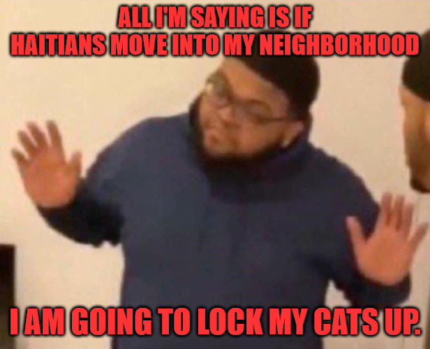 Lock your Cats up | ALL I'M SAYING IS IF HAITIANS MOVE INTO MY NEIGHBORHOOD; I AM GOING TO LOCK MY CATS UP. | image tagged in all i'm saying | made w/ Imgflip meme maker