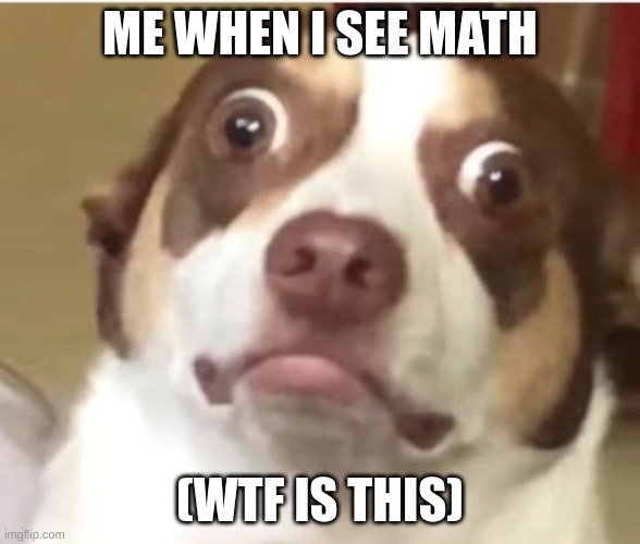 Me when i see math | ME WHEN I SEE MATH; (WTF IS THIS) | image tagged in memes | made w/ Imgflip meme maker