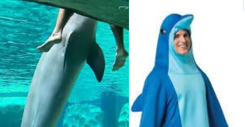 Freaky Dolphin Man Blank Meme Template