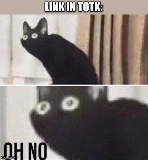 Oh no cat | LINK IN TOTK: | image tagged in oh no cat | made w/ Imgflip meme maker