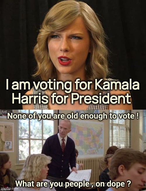 Meanwhile in the Real World | I am voting for Kamala Harris for President | image tagged in taylor swiftie,kids these days,hold up,you can't handle the truth,vote,well yes but actually no | made w/ Imgflip meme maker