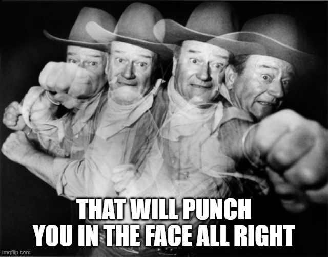 punch | THAT WILL PUNCH YOU IN THE FACE ALL RIGHT | image tagged in punch | made w/ Imgflip meme maker