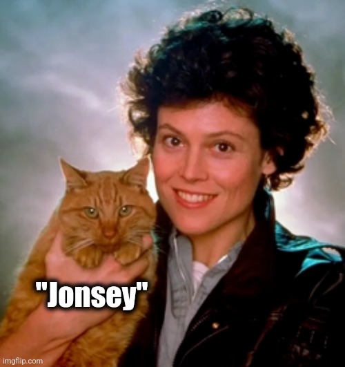 "Jonsey" | made w/ Imgflip meme maker