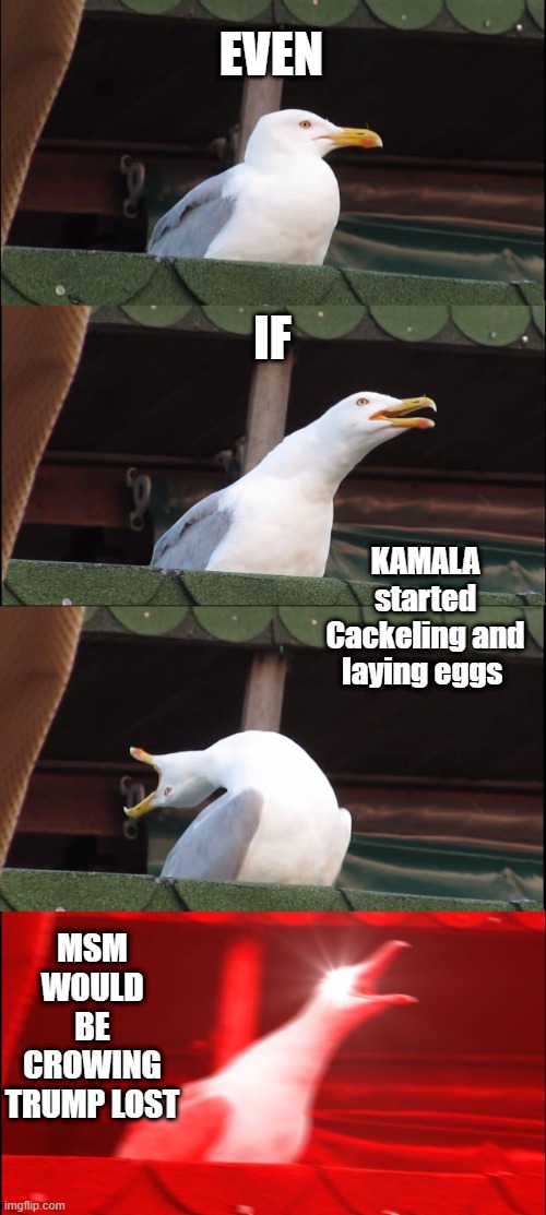 Can they have been more obvious. = easily discovered, seen, or understoodIt was obvious that things weren't working out. | EVEN; IF; KAMALA started Cackeling and laying eggs; MSM WOULD BE CROWING TRUMP LOST | image tagged in memes,inhaling seagull | made w/ Imgflip meme maker