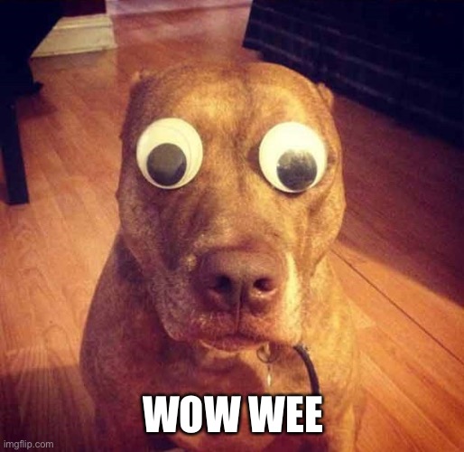 Shocked | WOW WEE | image tagged in shocked | made w/ Imgflip meme maker