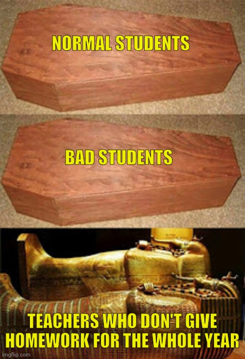 Golden coffin meme | NORMAL STUDENTS; BAD STUDENTS; TEACHERS WHO DON'T GIVE HOMEWORK FOR THE WHOLE YEAR | image tagged in golden coffin meme | made w/ Imgflip meme maker