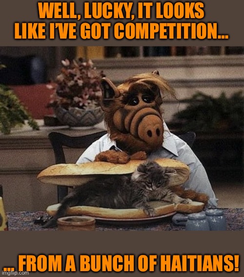 Alf Cat Sandwich | WELL, LUCKY, IT LOOKS LIKE I’VE GOT COMPETITION…; … FROM A BUNCH OF HAITIANS! | image tagged in alf cat sandwich | made w/ Imgflip meme maker