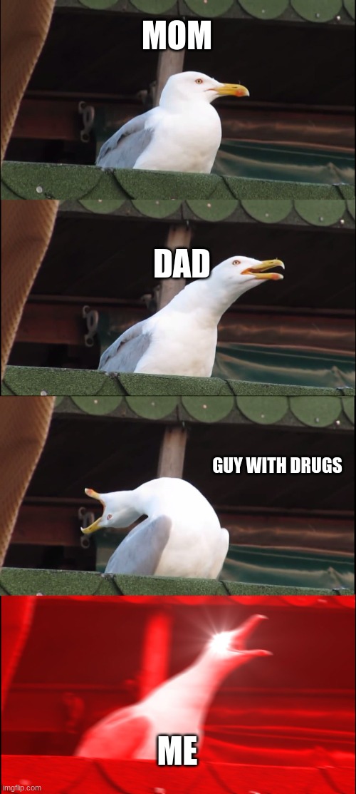 Inhaling Seagull | MOM; DAD; GUY WITH DRUGS; ME | image tagged in memes,inhaling seagull | made w/ Imgflip meme maker