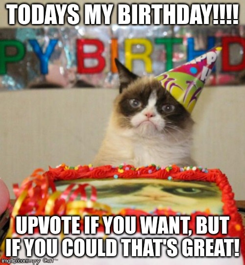 a legal time to upvote beg. can I have a toy plane? | TODAYS MY BIRTHDAY!!!! UPVOTE IF YOU WANT, BUT IF YOU COULD THAT'S GREAT! | image tagged in memes,grumpy cat birthday,grumpy cat | made w/ Imgflip meme maker