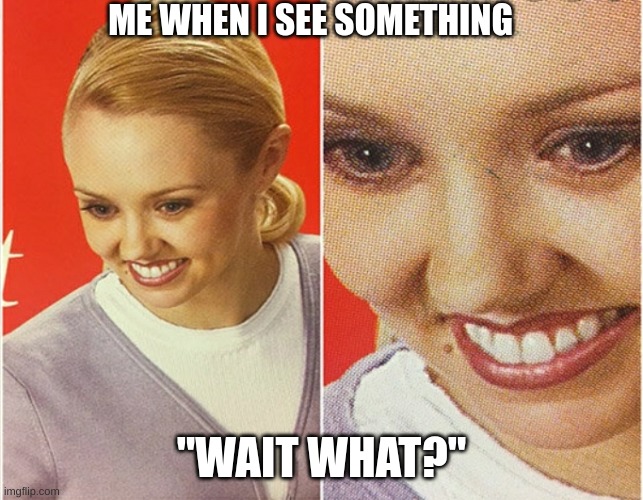 WAIT WHAT? | ME WHEN I SEE SOMETHING "WAIT WHAT?" | image tagged in wait what | made w/ Imgflip meme maker