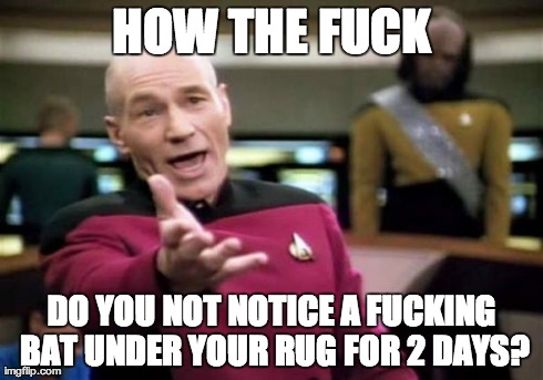 Picard Wtf Meme | HOW THE F**K DO YOU NOT NOTICE A F**KING BAT UNDER YOUR RUG FOR 2 DAYS? | image tagged in memes,picard wtf,AdviceAnimals | made w/ Imgflip meme maker
