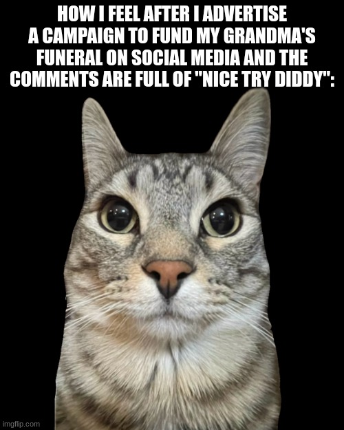 too specific to be a meme | HOW I FEEL AFTER I ADVERTISE A CAMPAIGN TO FUND MY GRANDMA'S FUNERAL ON SOCIAL MEDIA AND THE COMMENTS ARE FULL OF "NICE TRY DIDDY": | image tagged in zazu cat blank stare,memes,cats,animals,relatable,comments | made w/ Imgflip meme maker