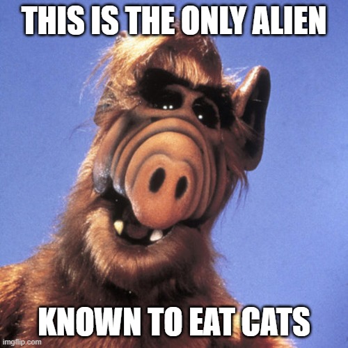 Cat check | THIS IS THE ONLY ALIEN; KNOWN TO EAT CATS | image tagged in alf,eat cats,alien | made w/ Imgflip meme maker