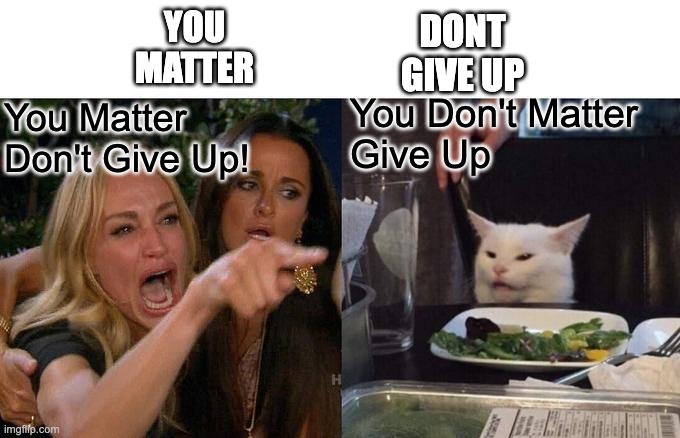 Woman Yelling At Cat | YOU
MATTER; DONT
GIVE UP; You Don't Matter
Give Up; You Matter
Don't Give Up! | image tagged in memes,woman yelling at cat | made w/ Imgflip meme maker