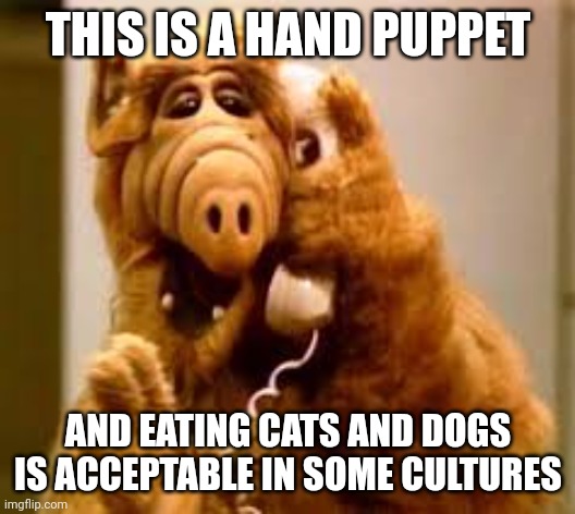 alf | THIS IS A HAND PUPPET AND EATING CATS AND DOGS IS ACCEPTABLE IN SOME CULTURES | image tagged in alf | made w/ Imgflip meme maker