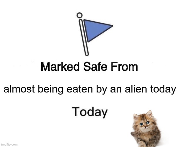 Cat Food | almost being eaten by an alien today | image tagged in memes,marked safe from,cat,cute kitty | made w/ Imgflip meme maker