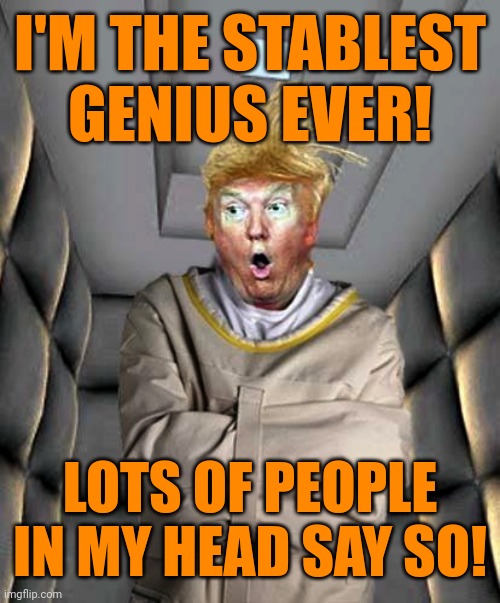 Trump insane crazy strait jacket padded cell | I'M THE STABLEST GENIUS EVER! LOTS OF PEOPLE IN MY HEAD SAY SO! | image tagged in trump insane crazy strait jacket padded cell | made w/ Imgflip meme maker