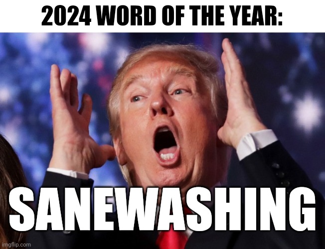 Naming a problem | 2024 WORD OF THE YEAR:; SANEWASHING | image tagged in trump crazy insane,lamestream media,sanewashing,because the presidency | made w/ Imgflip meme maker