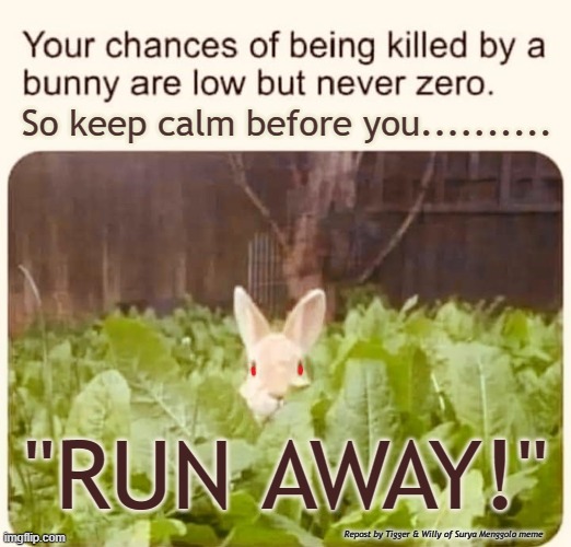 The Rabbit of Caerbannog | So keep calm before you.......... "RUN AWAY!"; Repost by Tigger & Willy of Surya Menggolo meme | image tagged in monty python and the holy grail | made w/ Imgflip meme maker