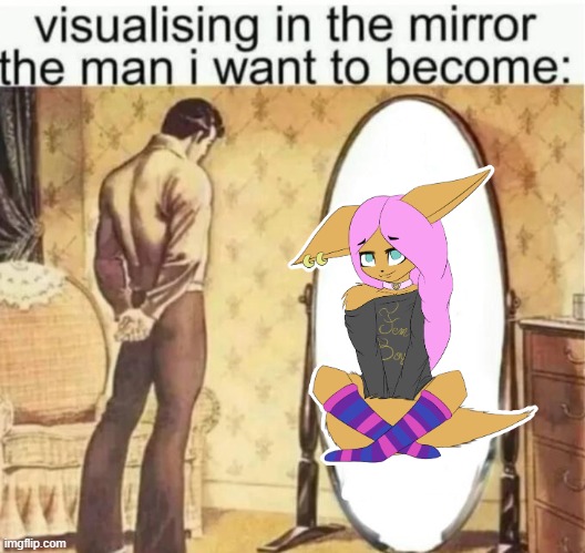 satire (mostly) | image tagged in visualising in the mirror the man i want to become | made w/ Imgflip meme maker