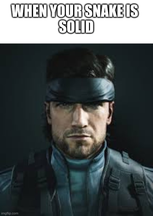 Solid Snake Meme | WHEN YOUR SNAKE IS 
SOLID | image tagged in funny memes,tiktok,metal gear solid,hentai anime girl | made w/ Imgflip meme maker