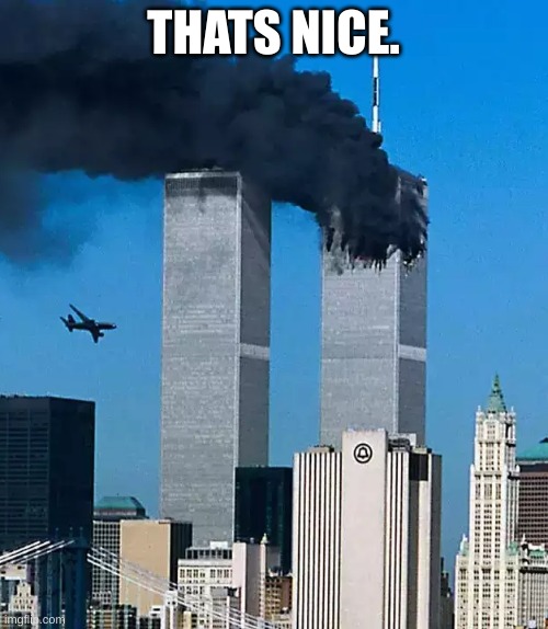 Twin Tower United 175 | THATS NICE. | image tagged in twin tower united 175 | made w/ Imgflip meme maker