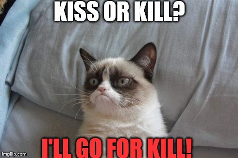 Grumpy Cat Bed Meme | KISS OR KILL? I'LL GO FOR KILL! | image tagged in memes,grumpy cat | made w/ Imgflip meme maker