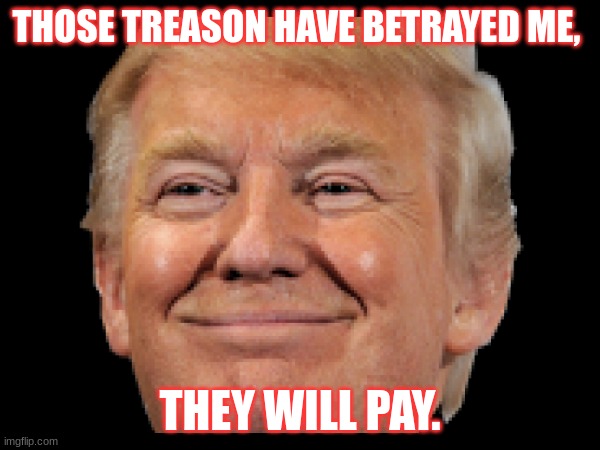 Treason | THOSE TREASON HAVE BETRAYED ME, THEY WILL PAY. | image tagged in treason | made w/ Imgflip meme maker